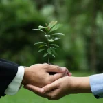 personal growth relationships