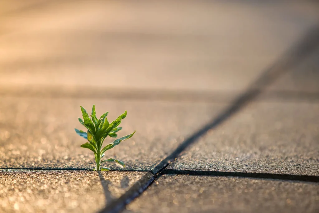 personal growth obstacles